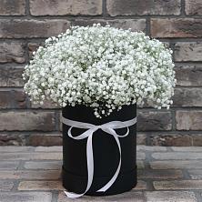 Цветочная композиция из Гипсофила в шляпной коробке в Чертково