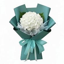 Букет цветов из:  Гортензия в Чертково